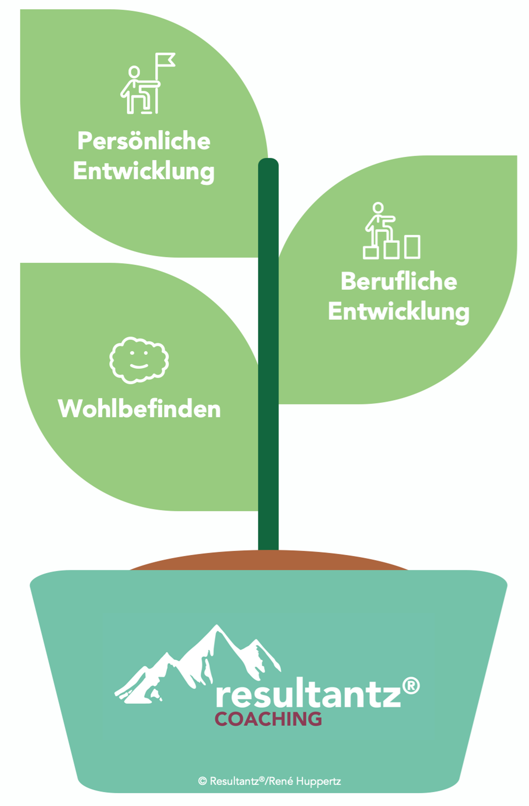 Effekte des Coachings